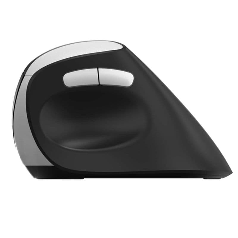 موس بی سیم رپو مدل RAPOO EV250 رنگ مشکی